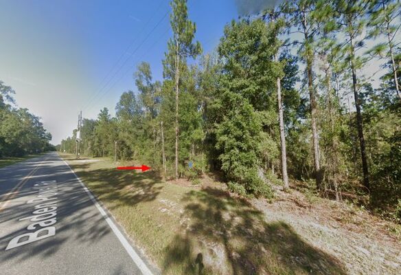 Paved Road Access! 0.29 Acres in Interlachen FL - $346/Mo!