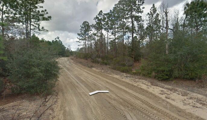 Invest Right NOW! 0.23 Acre is Waiting for You in Putnam, FL