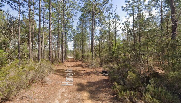 Stamp Your Name on 0.45 Acres in Putnam, FL! $277.16/Mo