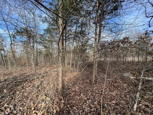 .30-acres to live your Adventure in Izard, AR For $75/MON