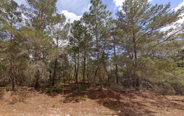 Home or Getaway? Both for $199 Down Raw Land in Interlachen!