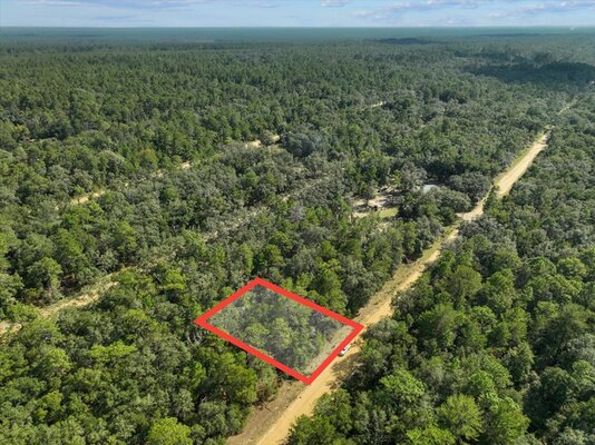 $165/mo: Putnam, FL 0.22 acres for your container home