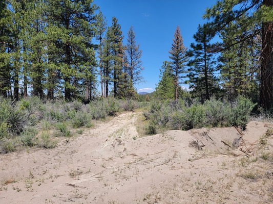 Discover Your Perfect Retreat: 1.48 Acres in Klamath, OR!