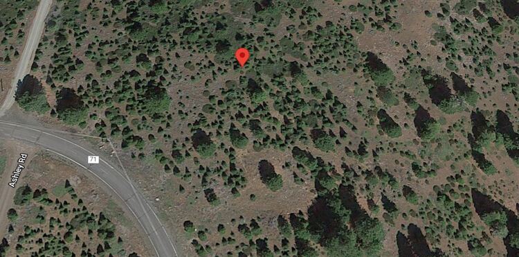 Beautiful 1.39 acres in Modoc County for $249/Mo