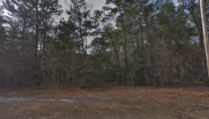 WEEKLY DEALS! 0.22 Acres in Creager Avenue, FL $237/mo