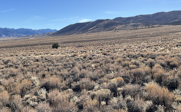 Own Your 2.06 acres Retreat Place in Elko, NV just $100 Down