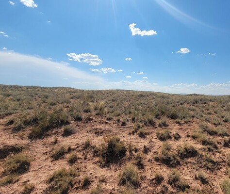 Arizona  Adventures! - 1.33 Acres of Navajo Land! - $99/Mo.