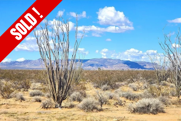 1.13 Acre Arizona Desert for $125 / month!