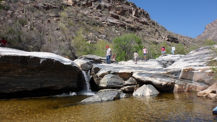 Retire in the Willcox Wine Country! Lot for sale at $199/mo