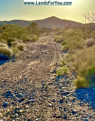 Escape the Screen, Embrace Grand Canyon Views!