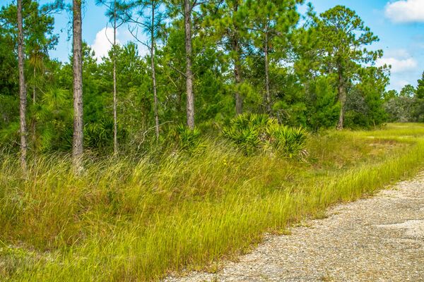 Quiet and Secluded: 10,250 Sq Ft Lake Placid $299 Down