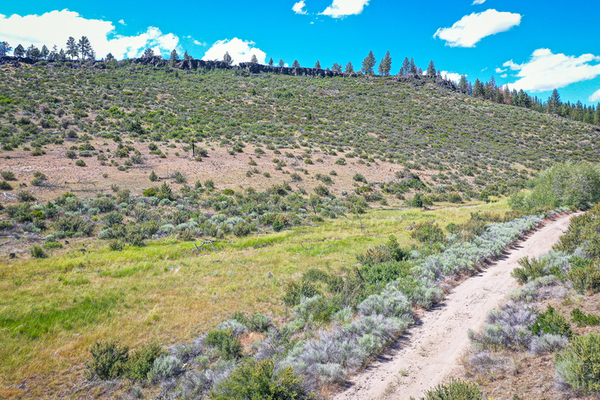 1.54 Acre Hunt, Fish, and Own Your Off-Road Biking Paradise