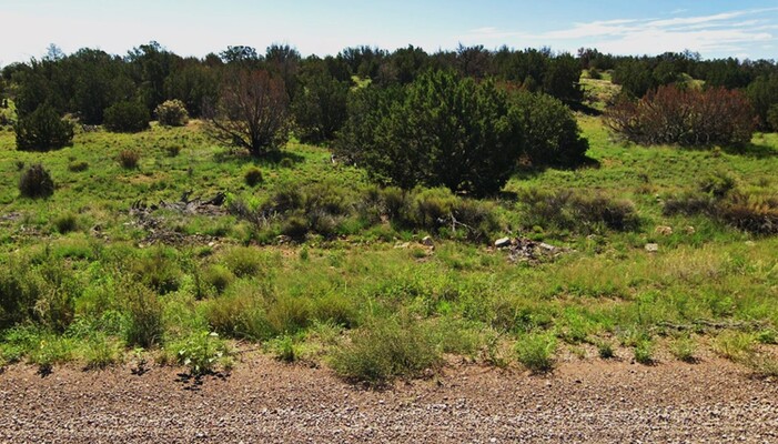 5.0 Acres to Channel Your Inner Wild Child in AZ $114.50/Mo