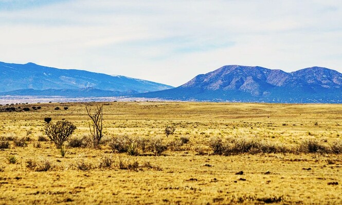 Seclusion Awaits You In Torrance County NM, Only $79/MO!