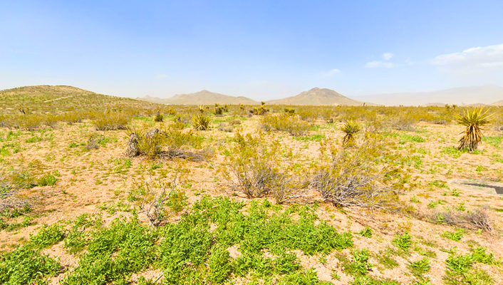 Nurture a Timeless Heritage on this Arizona Terrain