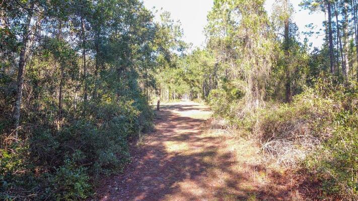 Near Trails & Lakes - Your 0.23-Acre for $179/Mo!