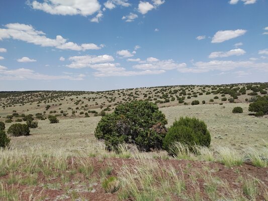 Beautiful Rolling Hills in Concho