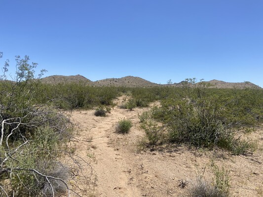 Affordable Arizona Dream Lot – Just $100 Down!