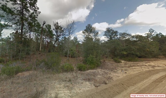 Only $355/Mo! Large, Buildable Lot in Northern Florida!