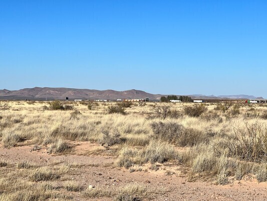 The Desert is Calling You! Own 0.5 Acres Near Deming NM & Enjoy Fun Times! $100/Down!