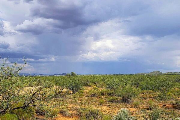 Cochise County: Rural Living & Adventure Await! $159.21/Mo