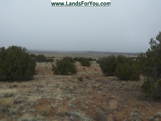 Bargain Hunters Alert: Unbeatable Land Deal in AZ!