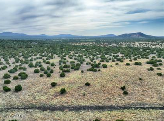 Live a Luxurious lifestyle on this 2.02-Acre Property in Apache, AZ. $117.27 MO.