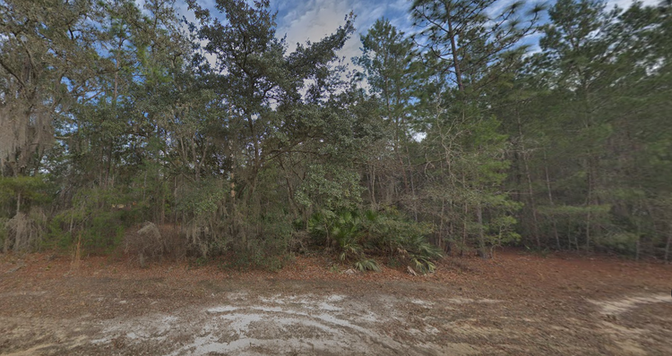 Nature’s Perfect Backdrop on 0.22 Acres for just $500 Down!