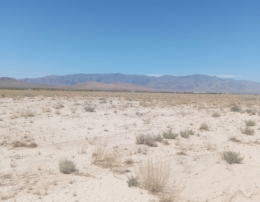 2.5 Acres on Spring Pl, Tecopa, CA 92389