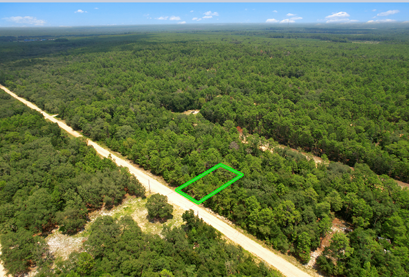 Invest in Buildable Land with 0.22-Acres in Putnam, FL