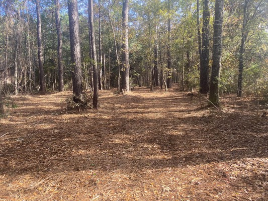 2.28 Acre Lot in McClellanville, SC! Your Coastal Escape