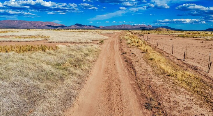 Invest in 0.23-Acre Lot in Douglas, AZ- $80/Month!