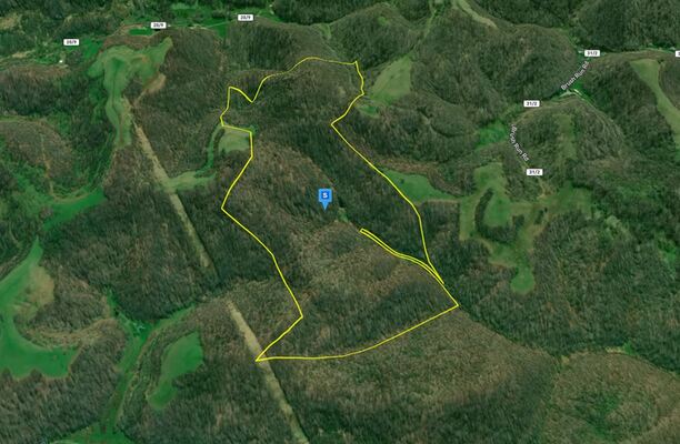 116 Acres For Sale in Roane County West Virginia!