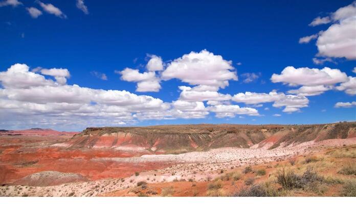 Start Living the Good Life in Chambers, AZ for $100/month