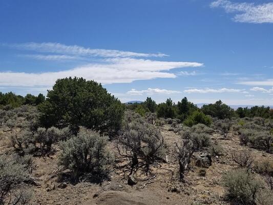 Treed 2.53 Acre Lot with Incredible Mountain Views!