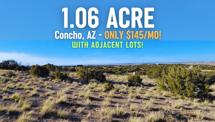 Untouched Open Space! 1 Acre In Concho, AZ ONLY $145/MO!