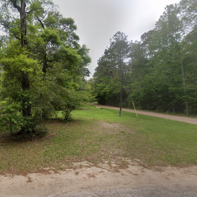 Escape to Liberty County – .29 Acres of Treed Beauty