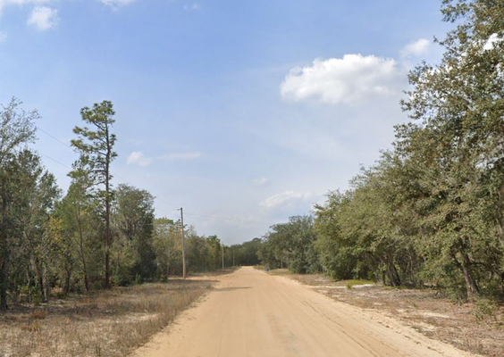 Minimalist Living: Vacant Land Start Your Tiny Home Journey