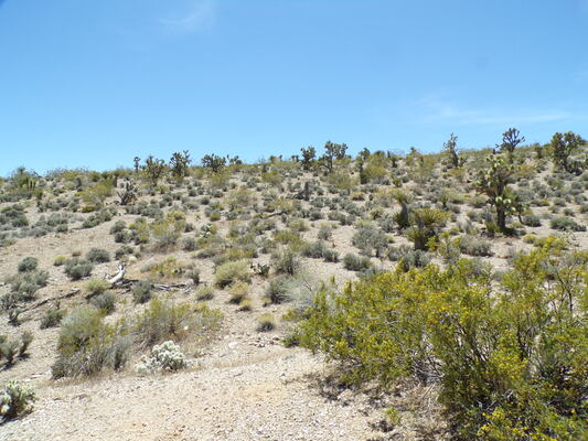 Discover Prime Buildable Land with 1.09-Acres in Mohave, AZ