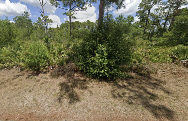 Grab .23 Acres in Charlotte County, FL!