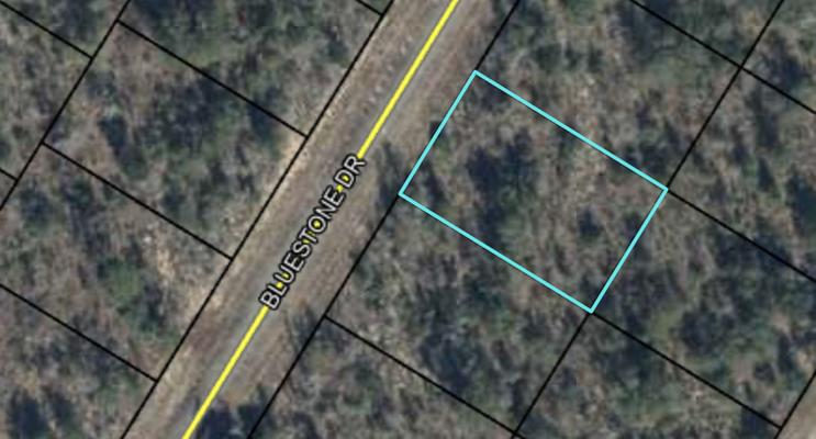 Secure Your 0.23 Acres in Washington County, Florida