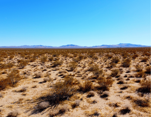 Prime 10-Acre for Investment in Inyokern, CA!