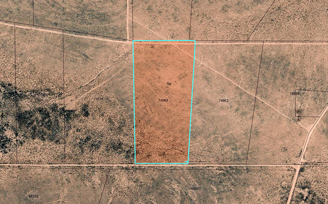 20 Acres of Unrestricted Land in Texas - DREAM BIG!