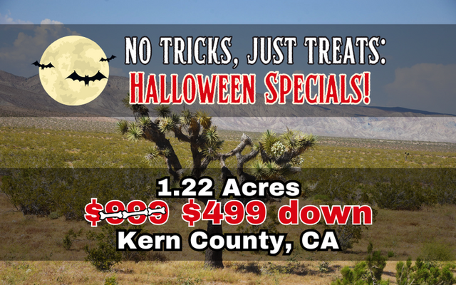 Kern: Expansive Lot with Mountain Views <del>$999</del> $499 Down