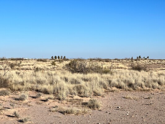 Become a Landowner in 2023 with this 1 acre property in Deming! $68 a month