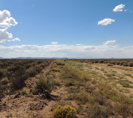 4.93 Acres with No HOA & Big Views For $169 Monthly