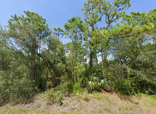 Own Land Near The Coast of FL! Just $295/mo!