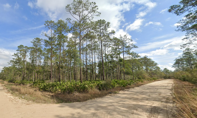 Budget-Friendly Land Ownership – .22 Acres for $180/Month!