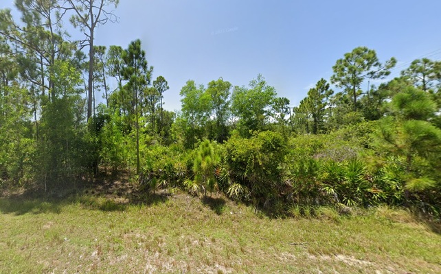 Punta Gorda Land Deal: Your Dream Home – $99 Down!