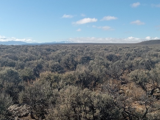 Live your Best Life! 5 Acre Lot in Costilla Co for Only $129/month, Perfect for Homesteading!